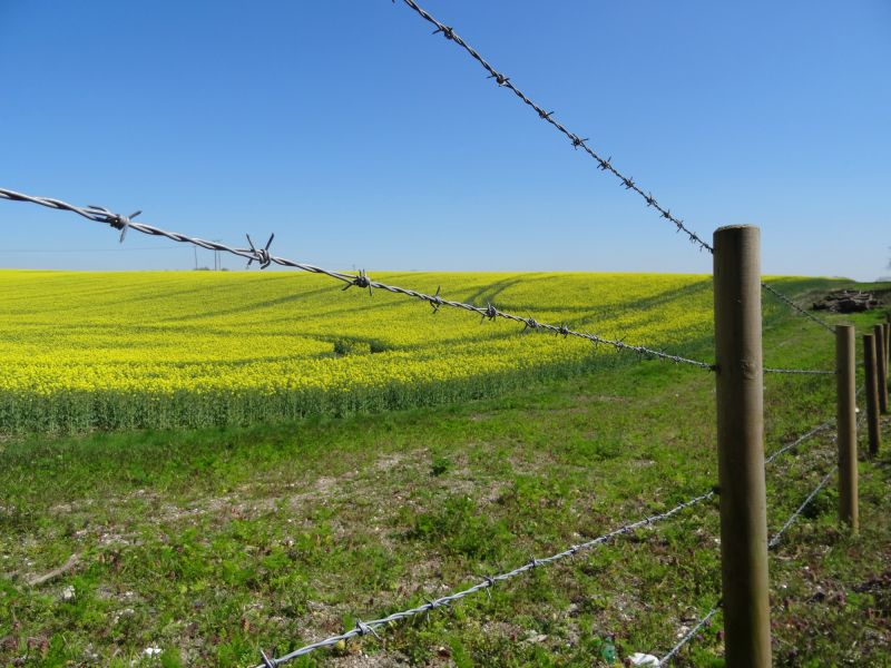 Woven Wire Fence in Rural Settings